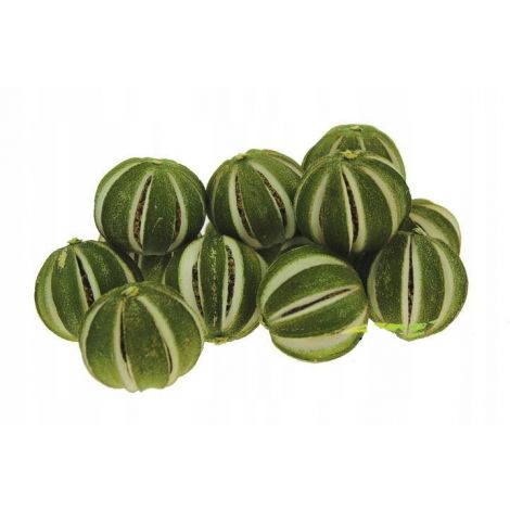 Suszona Limonka Canea 1szt - 2